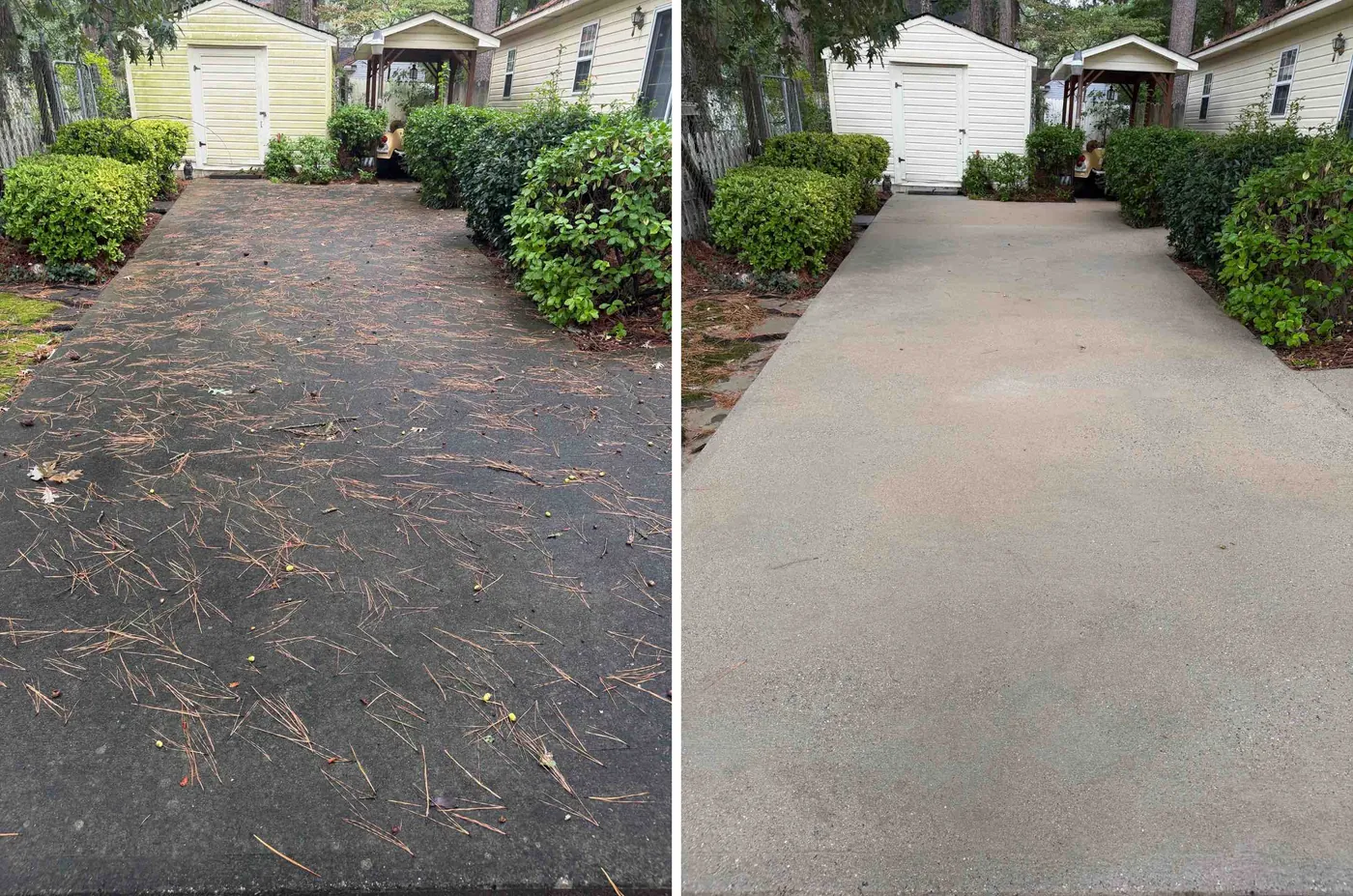 Side-by-side comparison of a driveway covered in pine straw and buildup before cleaning and clean concrete after.