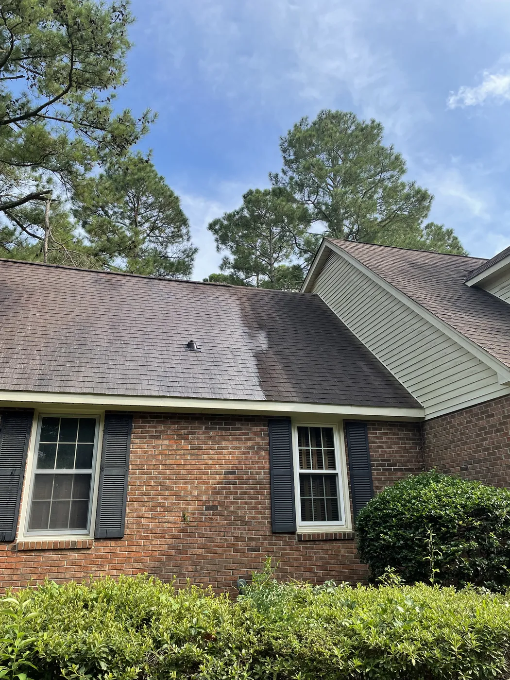 Roof soft wash in progress, with a clean treatment line visible across the shingles.